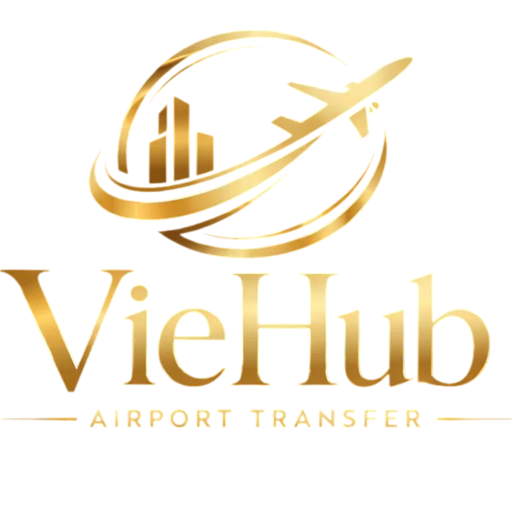 VieHub Logo